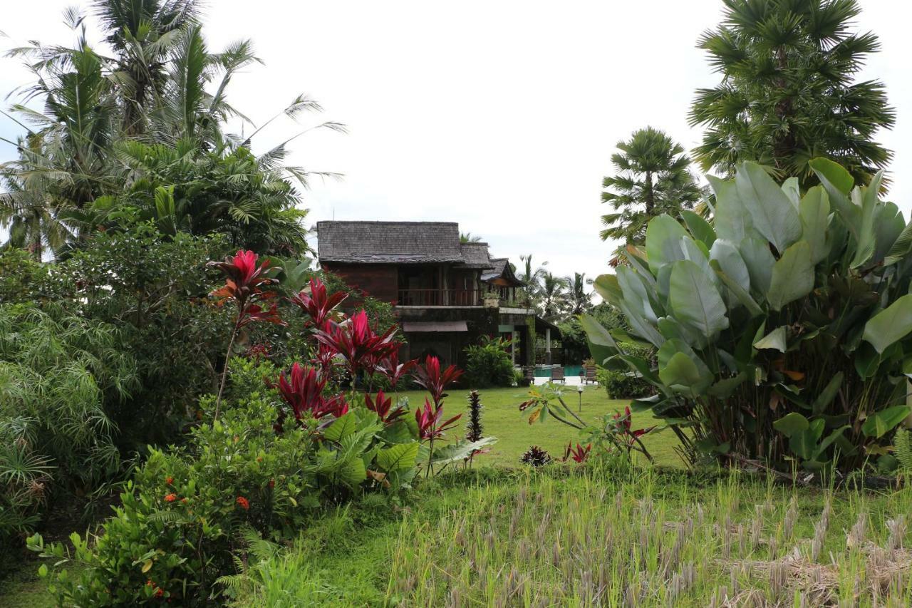 The Alise Villa 德格拉朗 外观 照片
