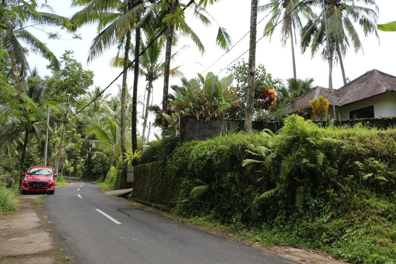 The Alise Villa 德格拉朗 外观 照片