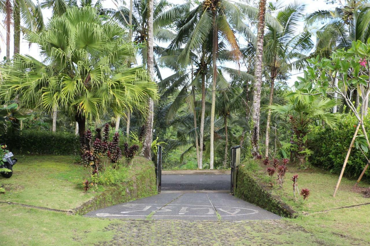 The Alise Villa 德格拉朗 外观 照片