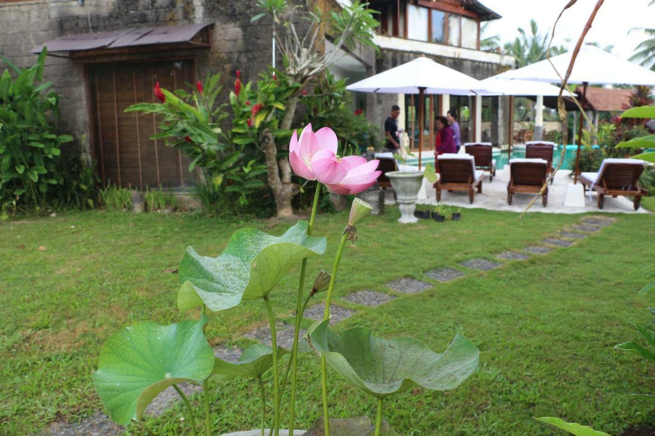 The Alise Villa 德格拉朗 外观 照片