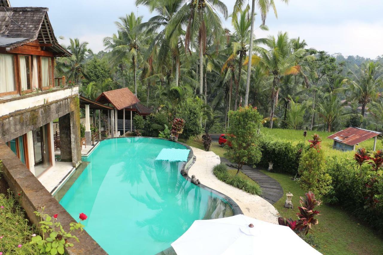 The Alise Villa 德格拉朗 外观 照片